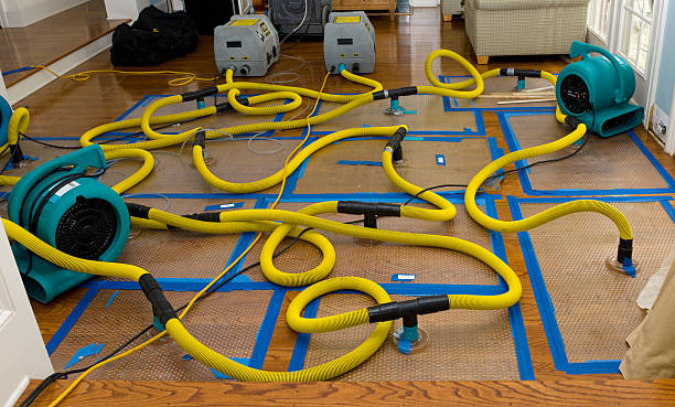 Professional Basement Flood Cleanup technician working in Port Allen, LA